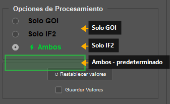 Panel Opciones de Procesamiento